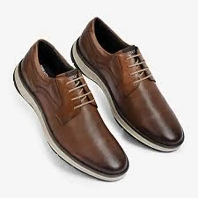 Sapatenis  Ferracini 5553-559J